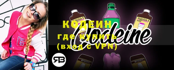 индика Майский