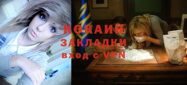 индика Майский