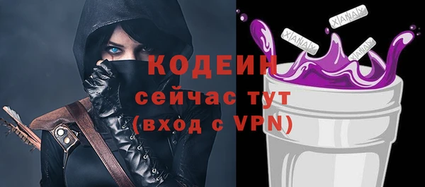 индика Майский