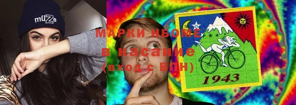 индика Майский