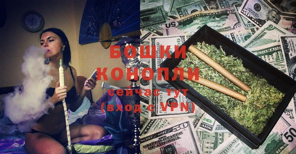 индика Майский