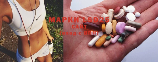 индика Майский
