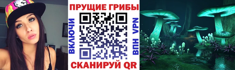 Псилоцибиновые грибы MAGIC MUSHROOMS  Тотьма 